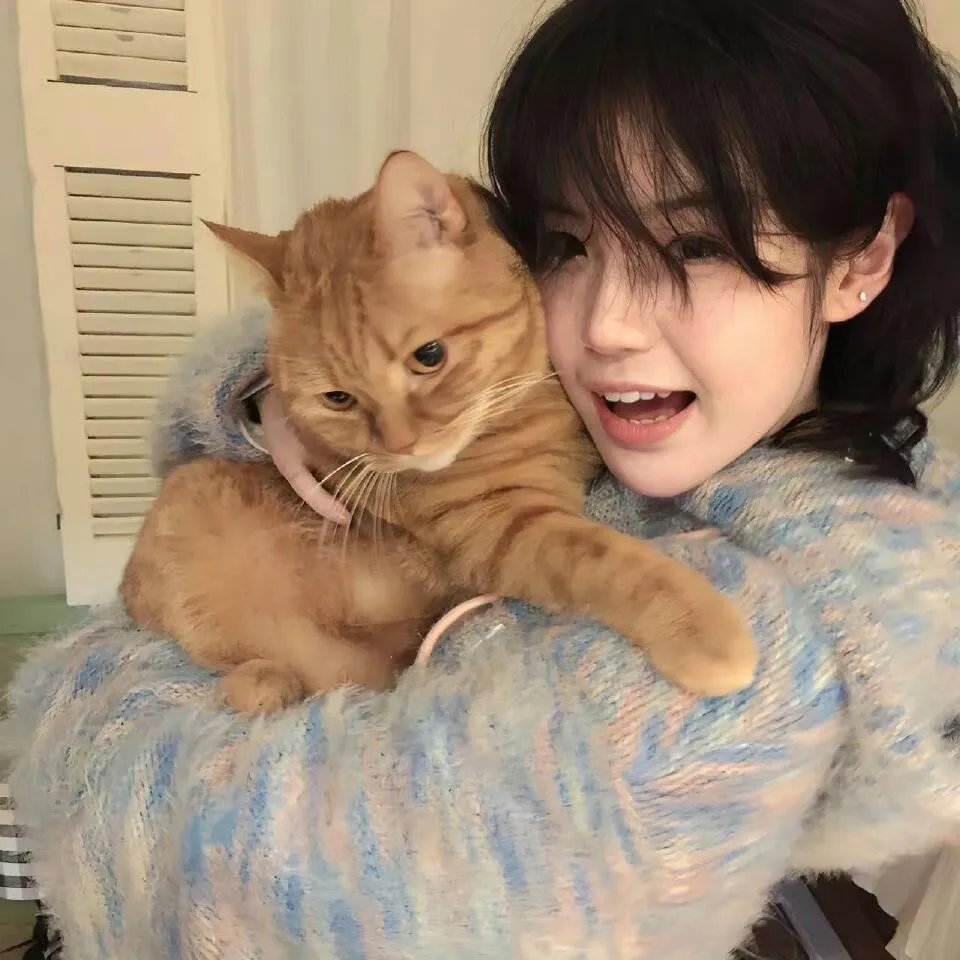 布朗克斯大战吸血鬼